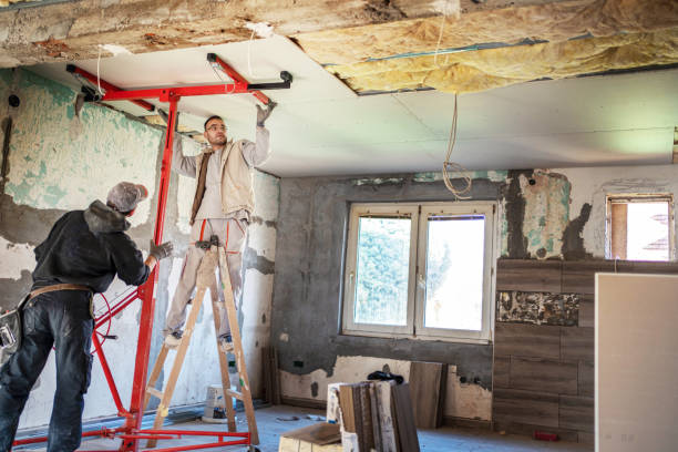 Best Insulation Installation Services in Mapleton, IA